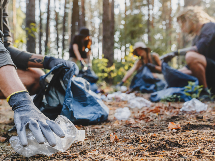 A group picking up plastic and trash from the forest floor